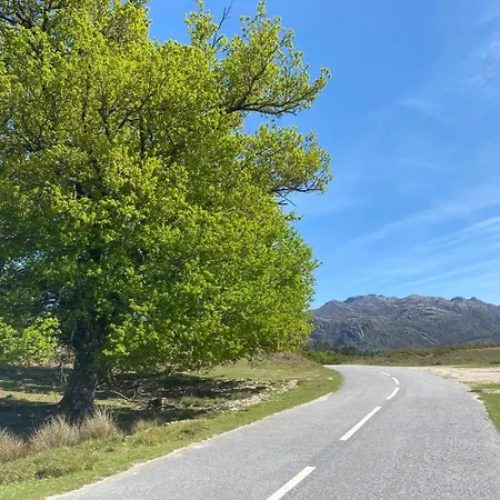 Casa Sequeira De Sao Jose - Geres טראס דה בורו